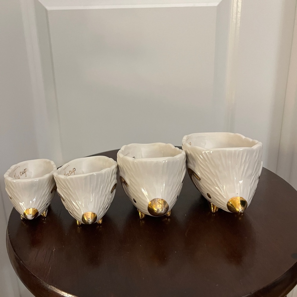 Anthropology measuring cups